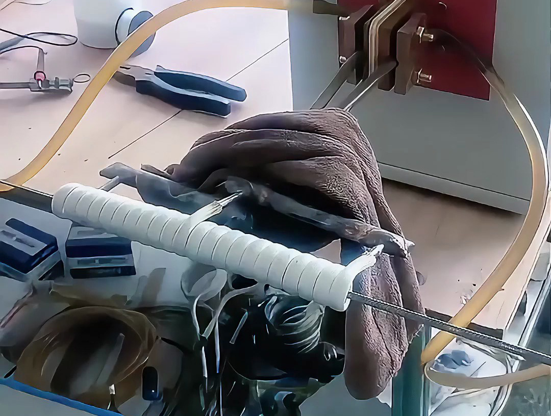 海拓超高頻加熱機：不銹鋼絲在線退火的高效解決方案，